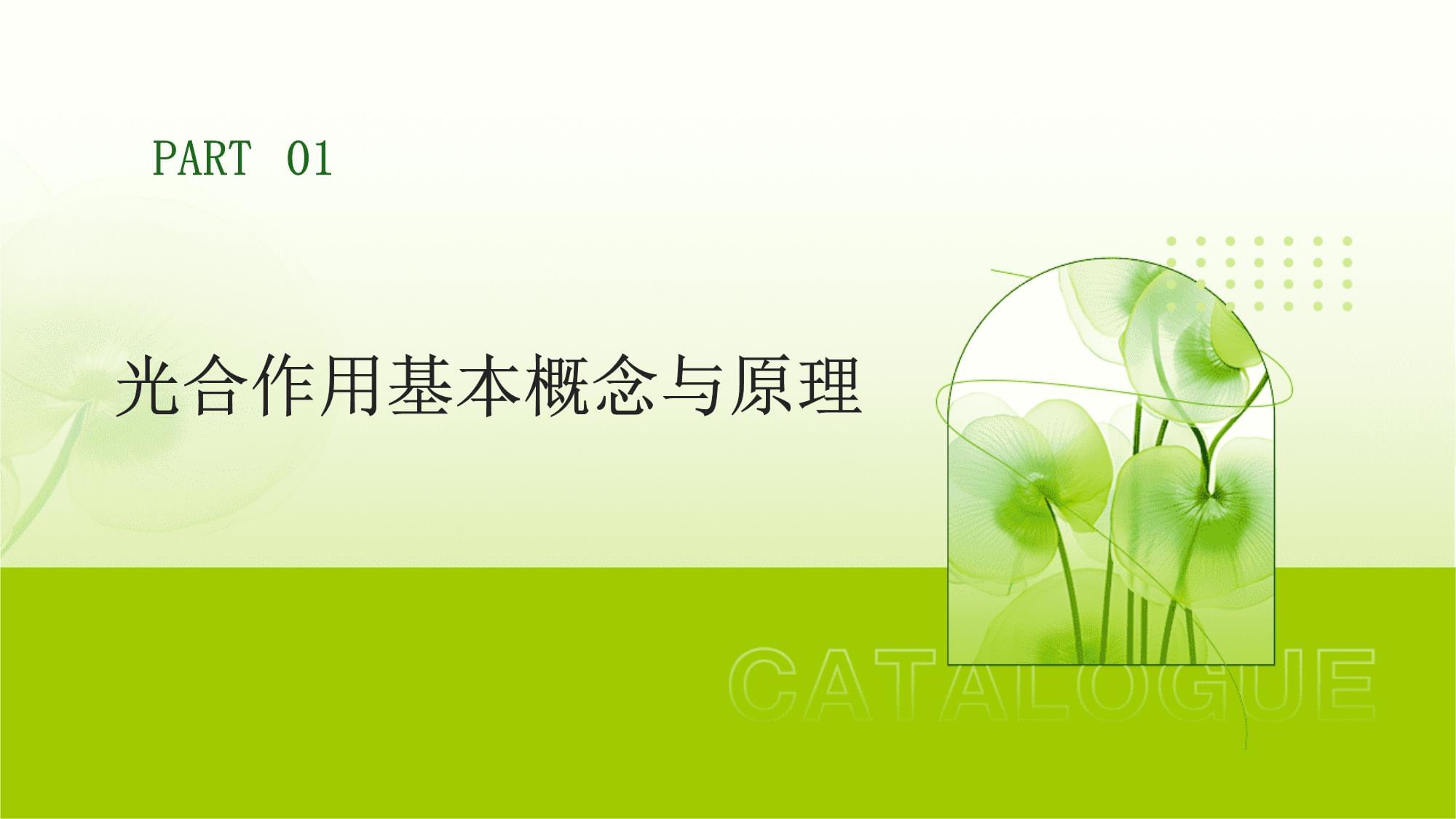 如何利用光合作用 從自然原理到前沿應用